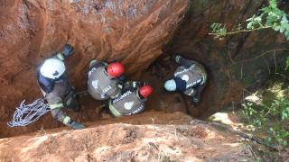 Çukura düşen inek itfaiye ekiplerince kurtarıldı