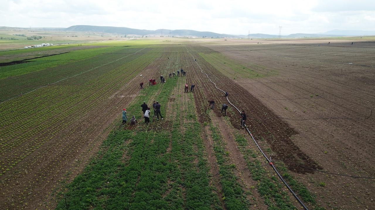 Eskişehir'de 2021 yılı sulama sezonu başladı