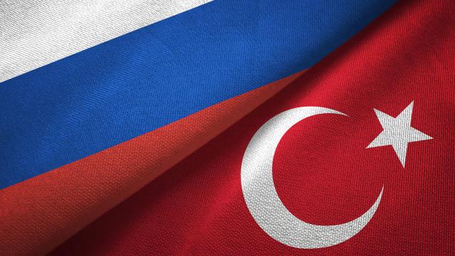 Rus heyet seyahat kısıtlamasını görüşmek üzere Türkiyeye gelecek
