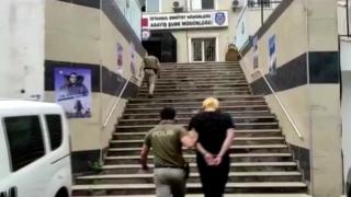 Yavru kedileri toplayıp yedi