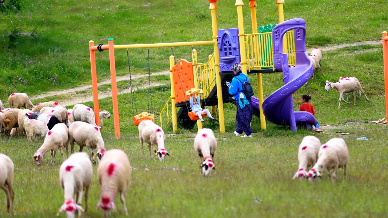 Her yıl havaların ısınmasıyla göç yolculuğunun başladığını belirten Ayvaz, 
