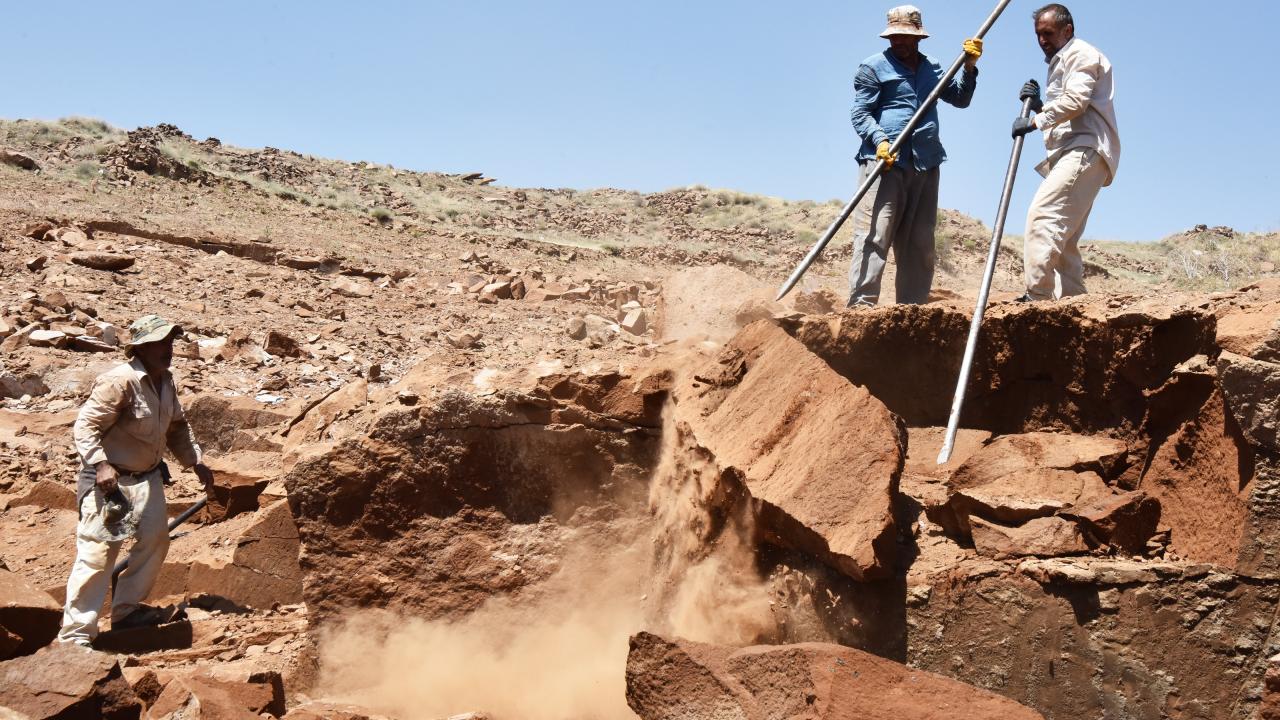 Fotoğraf: Özkan OLCAY 