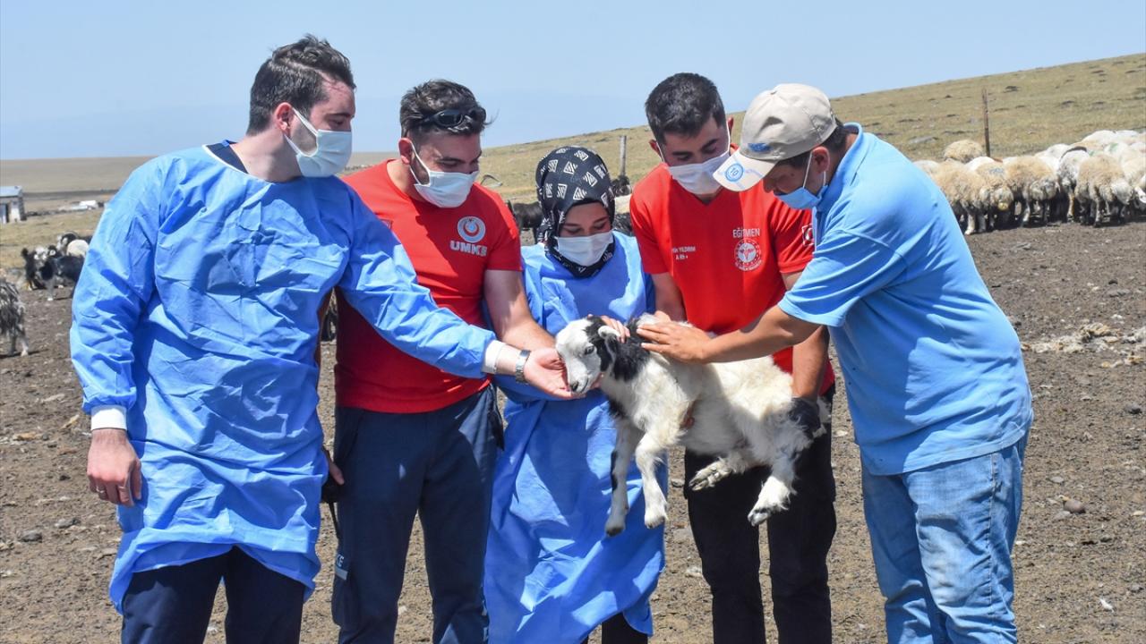 "Aşı yaylaya da geliyor"