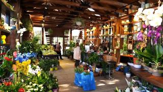 Türkiye'ye örnek bir konsept: BAHÇEM