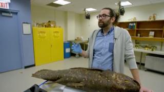 100 yıl yaşayan balık