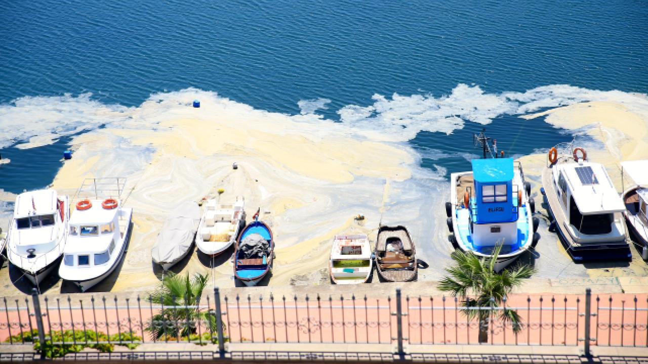 Kocaeli'de müsilaj etkisini sürdürüyor