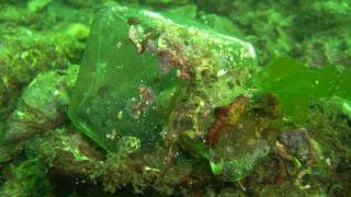 Denizde bulduğu şişeyle koleksiyoner oldu