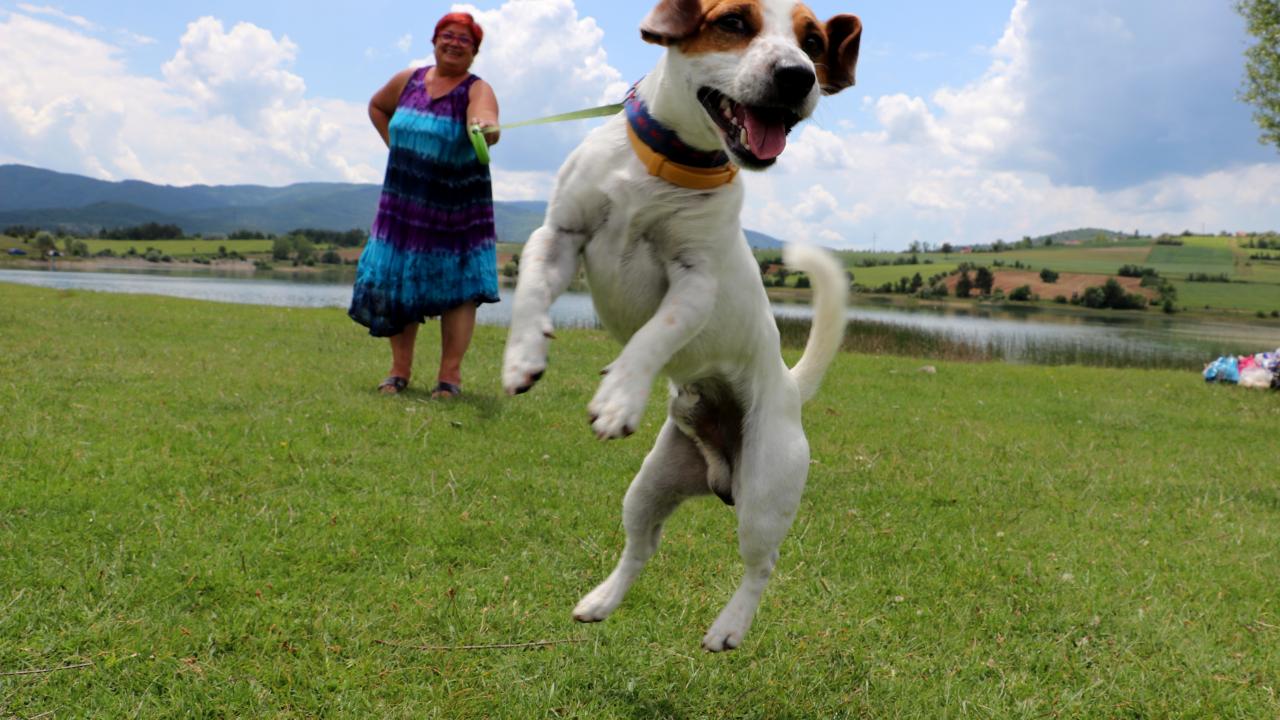 Köpekleri Tarçın ile karavanla Karadeniz turuna çıktılar