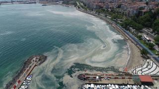 Tekirdağ kıyılarında müsilaj yoğunluğu arttı