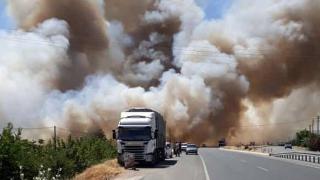 Elazığ'da 100 dönüm buğday ve arpa ekili alan yandı