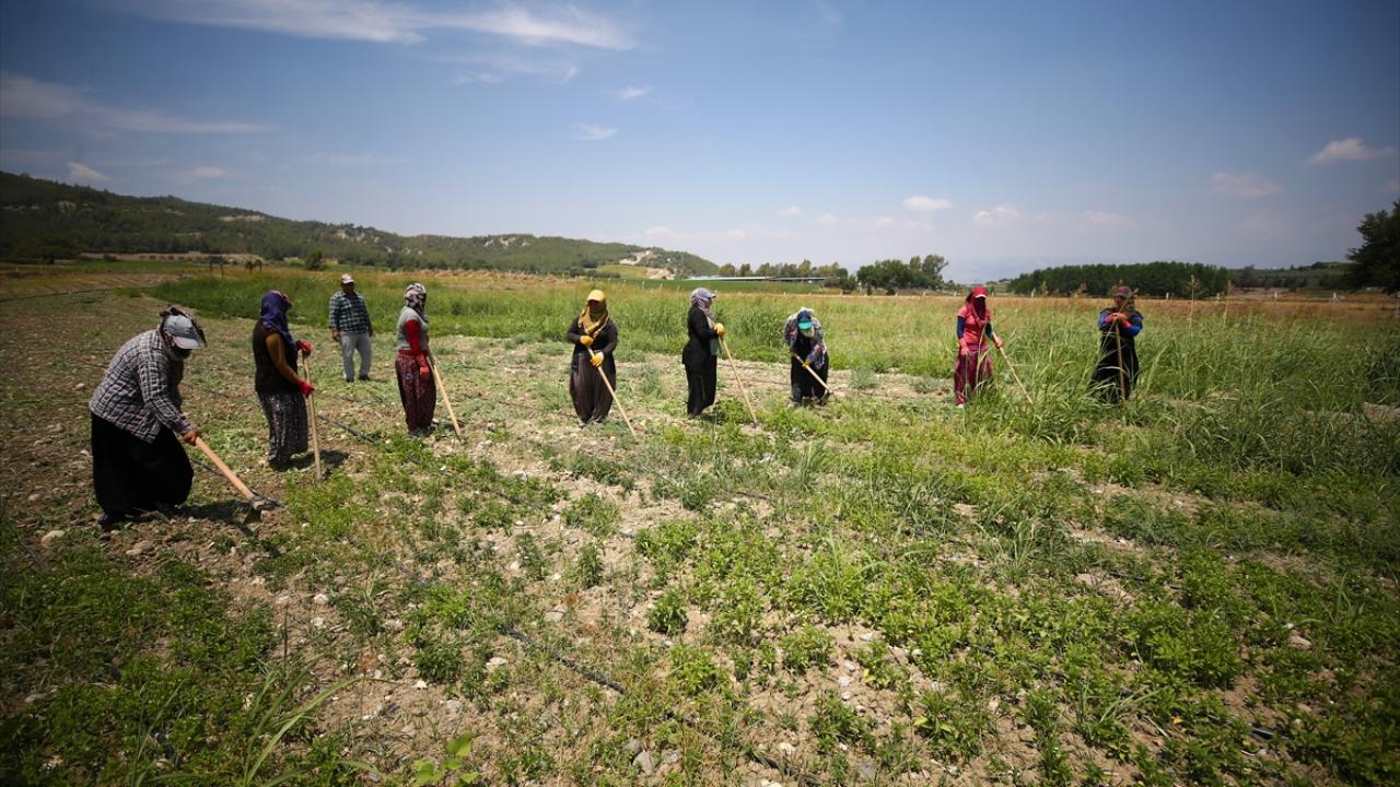 "Türkiye`de en önemli iller arasında yer alacağına inanıyoruz"