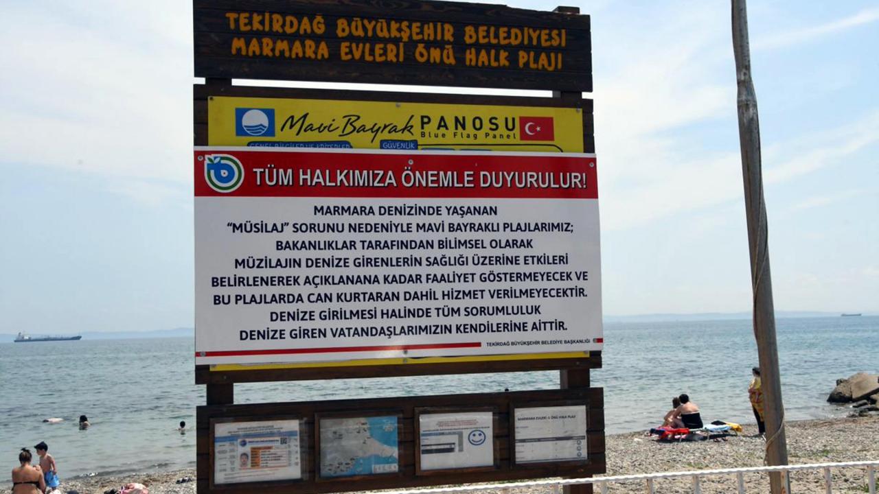 Şarköy`de mavi bayraklı plajlara müsilaj uyarısı