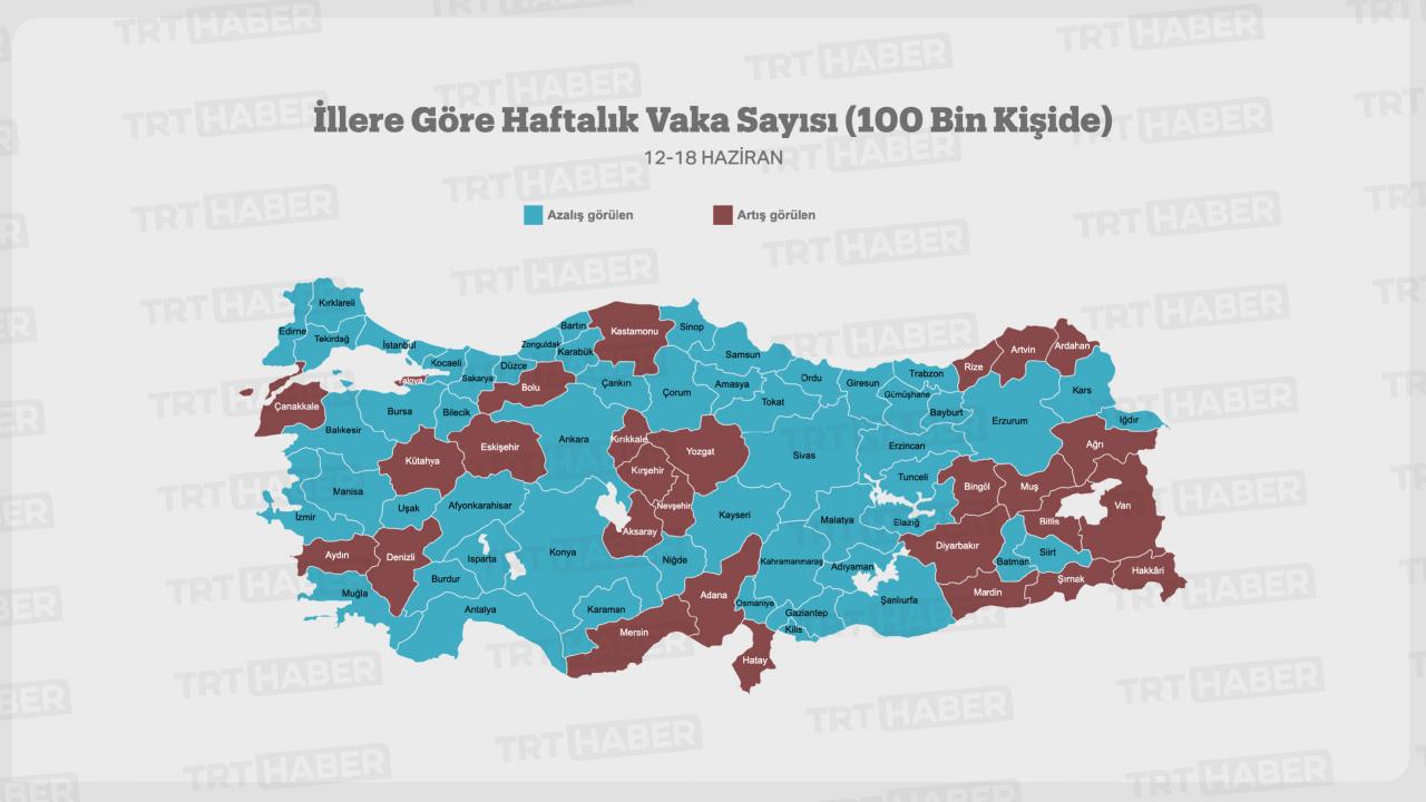 İllere Göre Haftalık Vaka Sayısı (100 Bin Kişide)