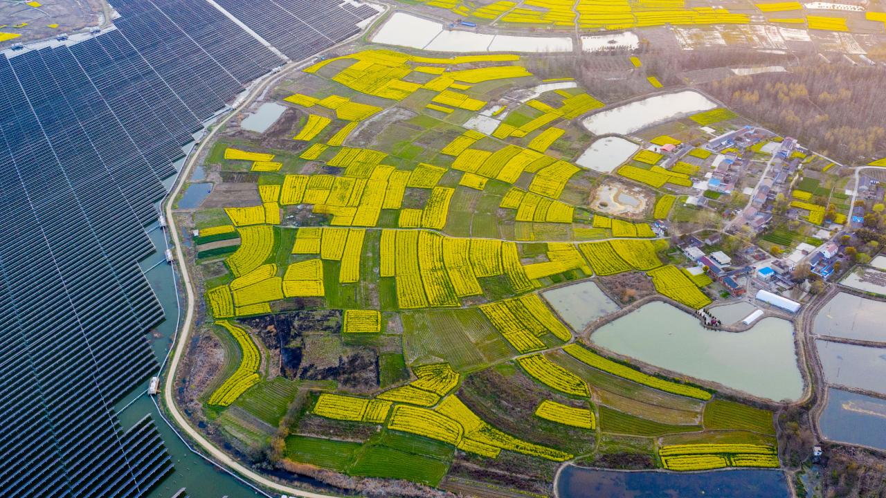 2020 temiz enerji için "rekor yılı" oldu