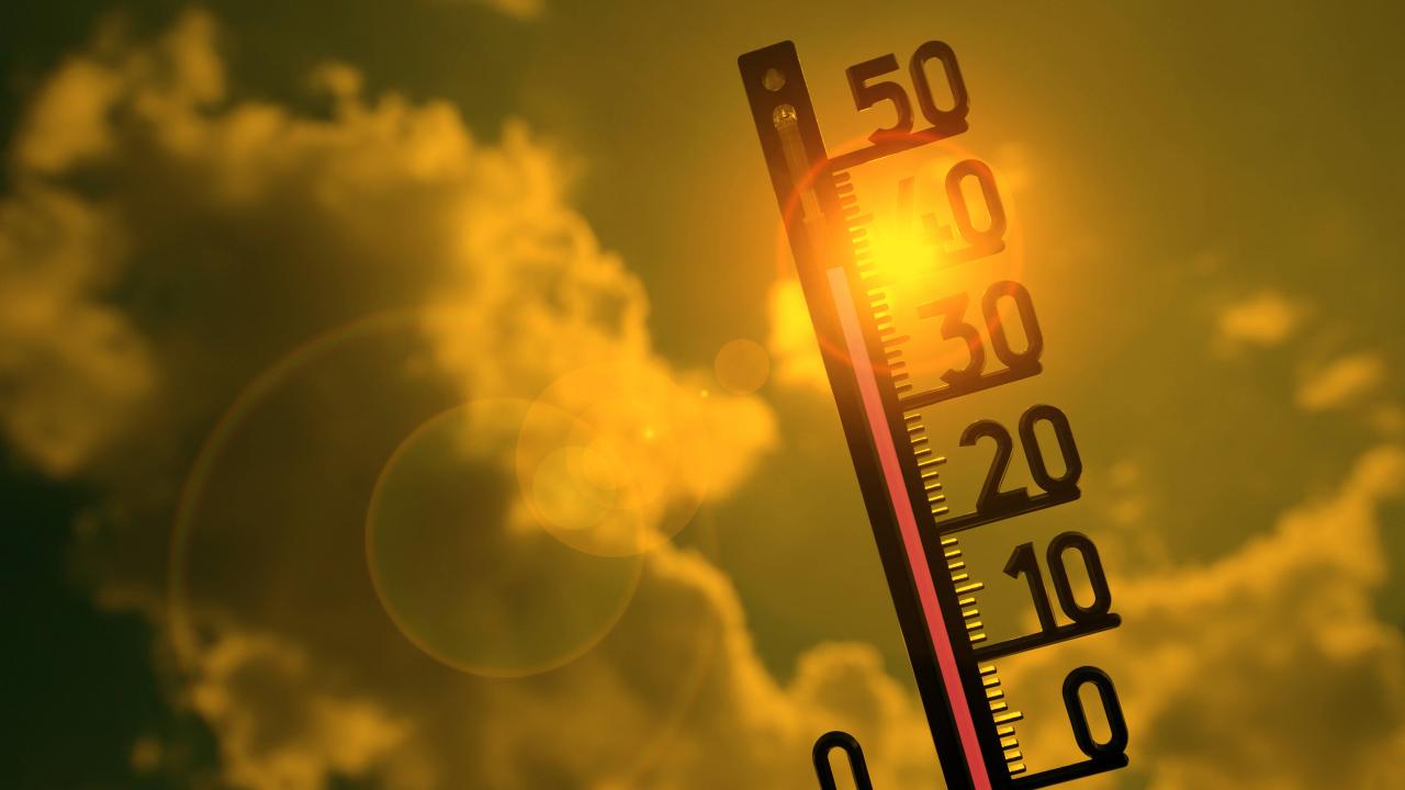 KAVURUCU SICAK GELİYOR