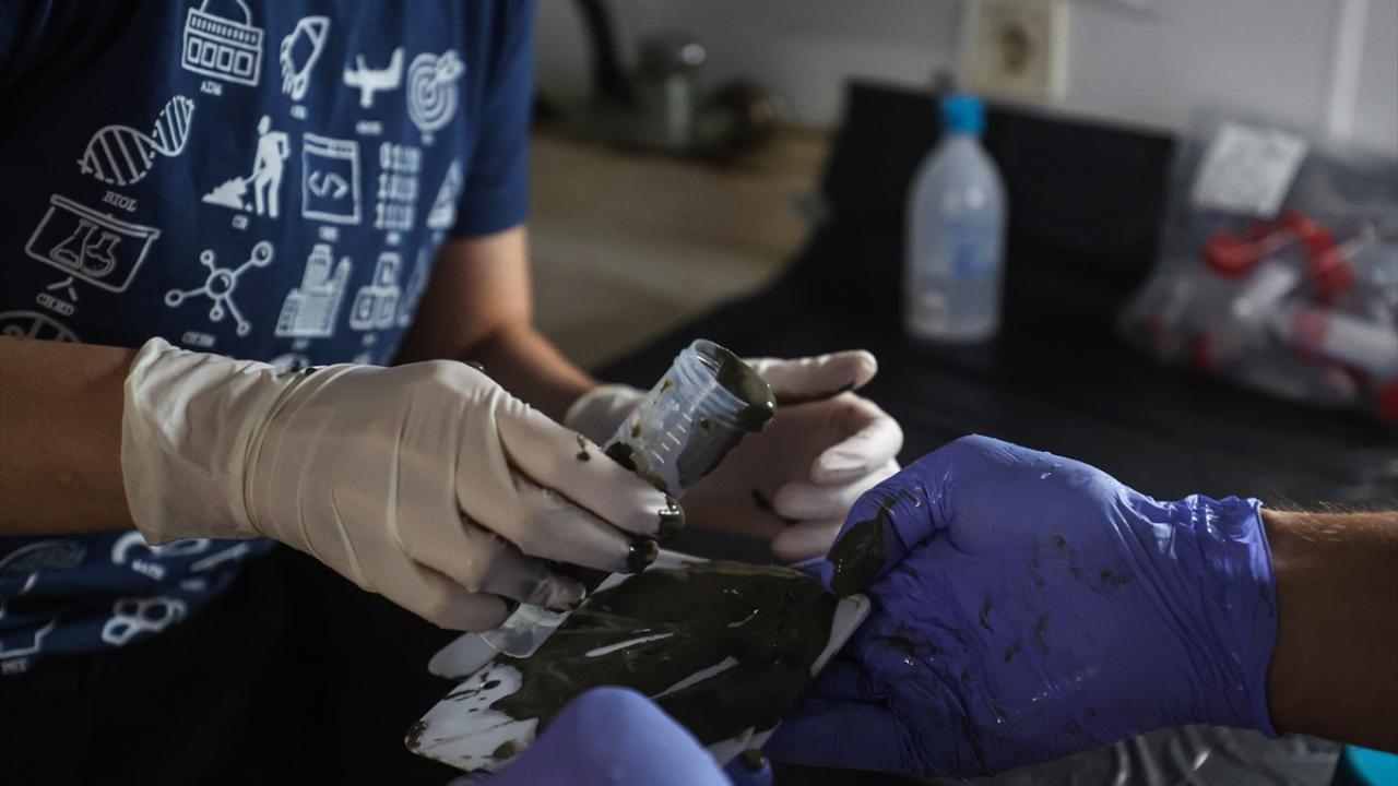 İlk kez 1210 metre derinlikten örnek alındı