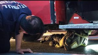 İtfaiyecilerin 1 saatlik kedi kurtarma operasyonu