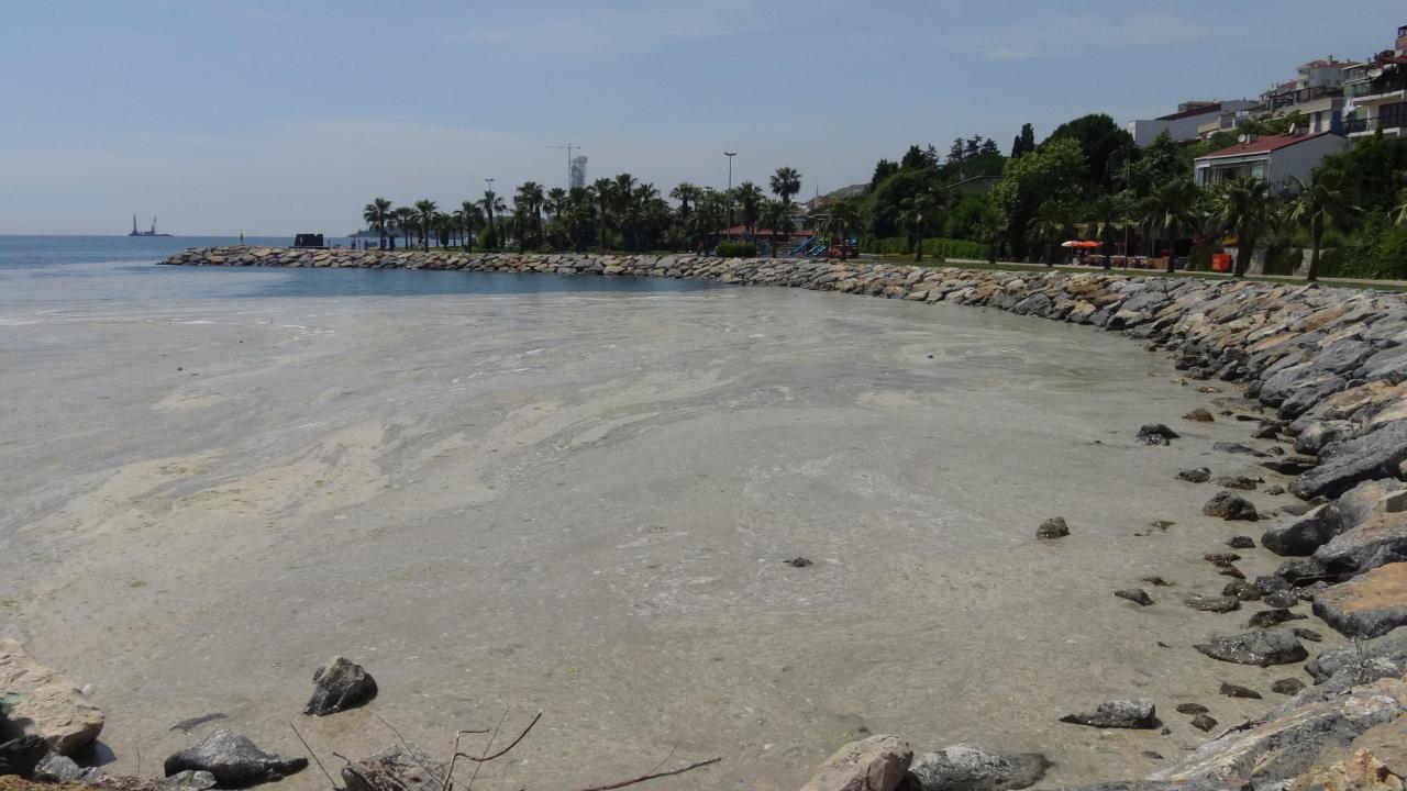 Darıca’da denize girmek yasaklandı