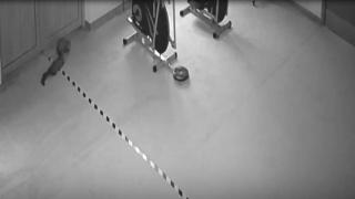 Hırsız sandılar, sansar çıktı