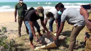 Sri Lanka’daki çevre felaketi büyüyor