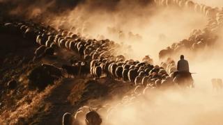 Sürülerin görkemli yolculuğu