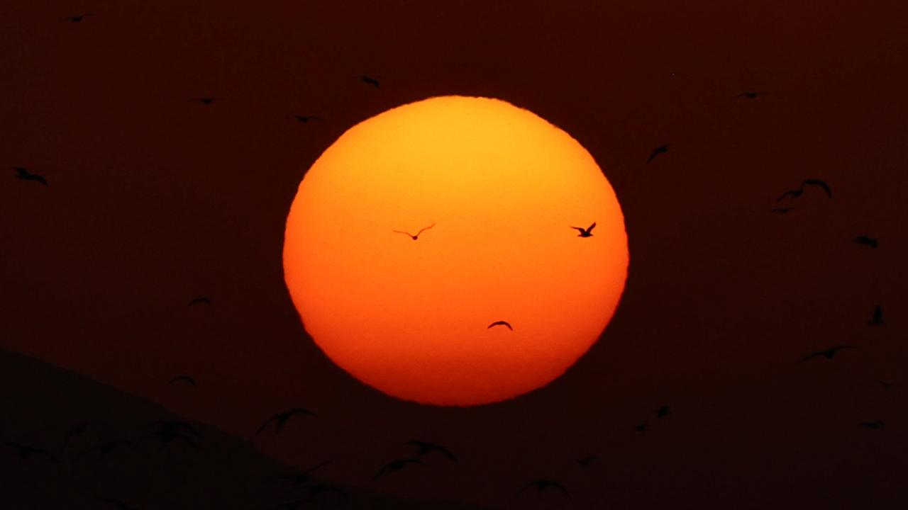 Van Gölü'nün kanatlı misafirleri doğayı canlandırdı