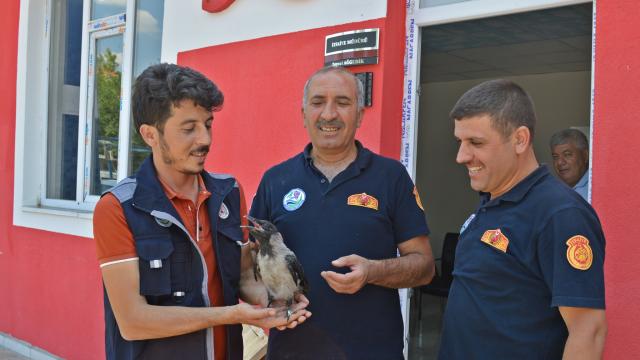 Adıyamanda itfaiyeciler kurtardıkları yaralı karganın bakımını üstlendi