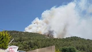 Kaş'ta orman yangını