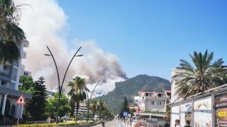 Marmaris'te orman yangını