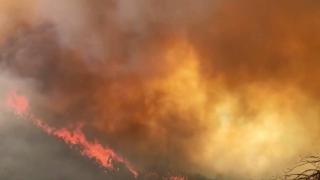 Bingöl'de orman yangınına müdahale sürüyor