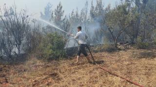 Osmaniye'de orman yangını kontrol altına alındı