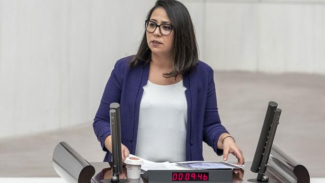 Saliha Sera Kadıgil Sütlü kimdir? Saliha Sera Kadıgil Sütlü CHPden istifa edip TİPe geçti…