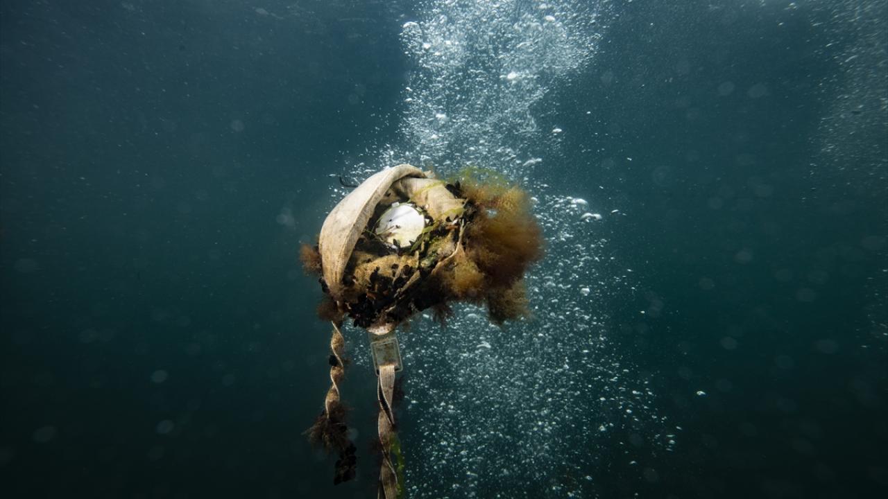 "Plastik, denizlerin biyojeokimyasını etkiliyor"