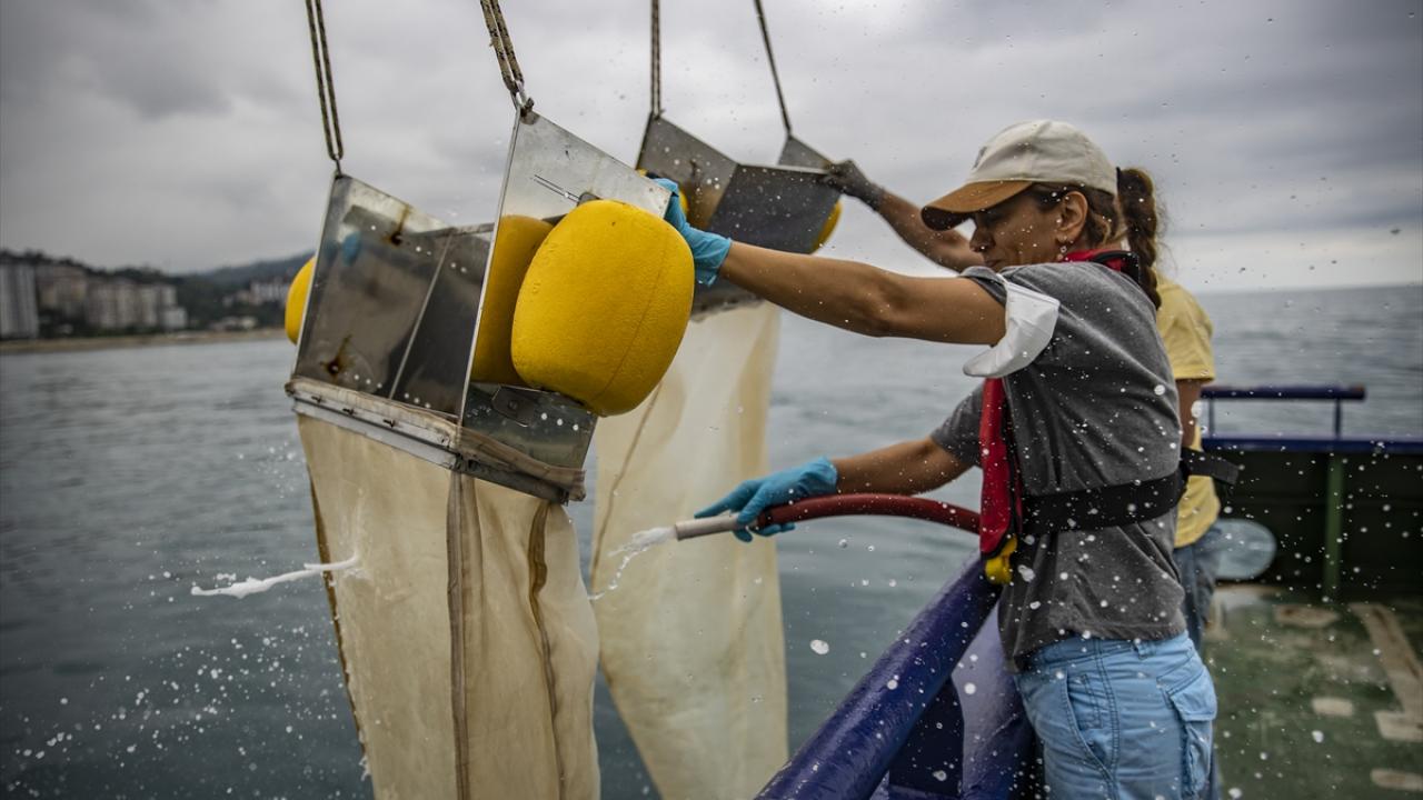 "Günlük hayatta kullandığımız yaklaşık her 10 plastikten biri denizlerde sonlanıyor"
