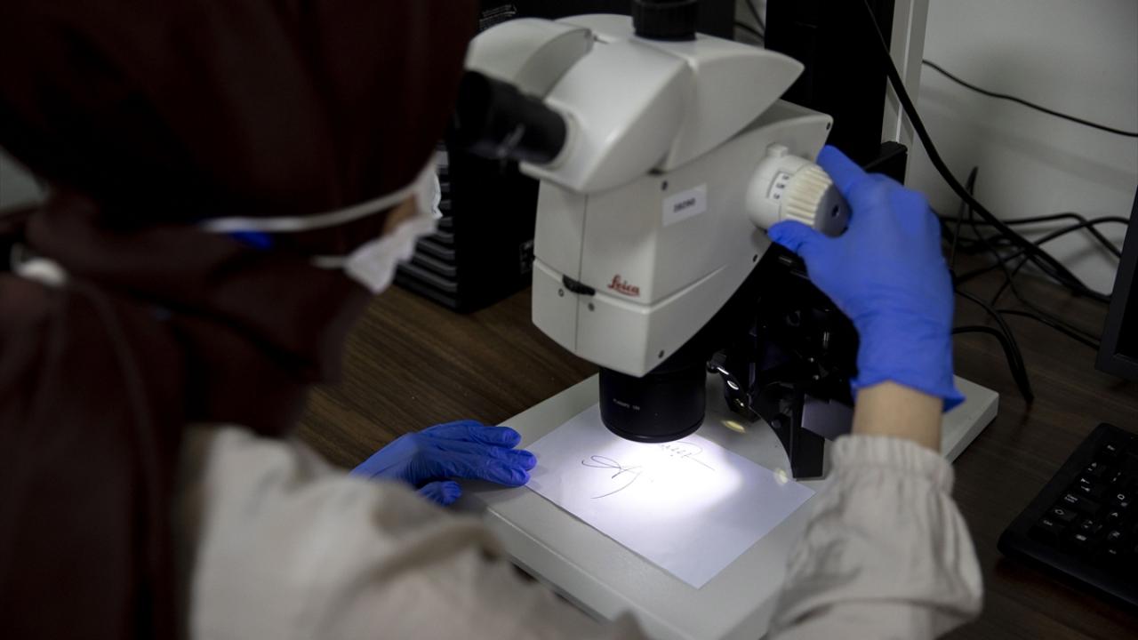 "Ülkemizde imzalar genellikle şekilsel olarak atılmakta"