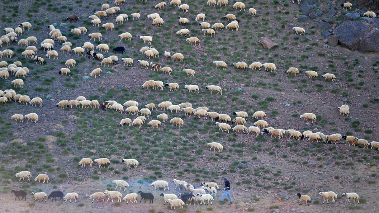 Fotoğraf ve kamp tutkunlarının gözde rotası