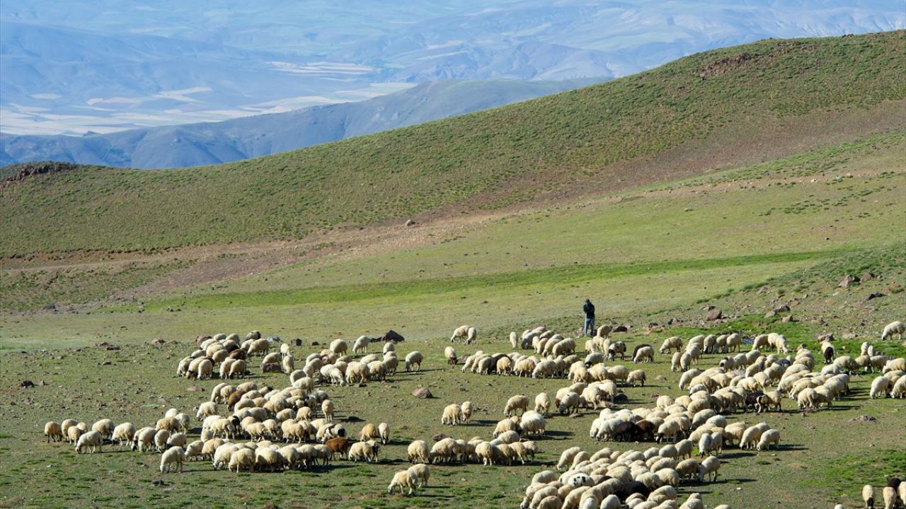 "Buranın havası, suyu ve toprağı çok güzel"