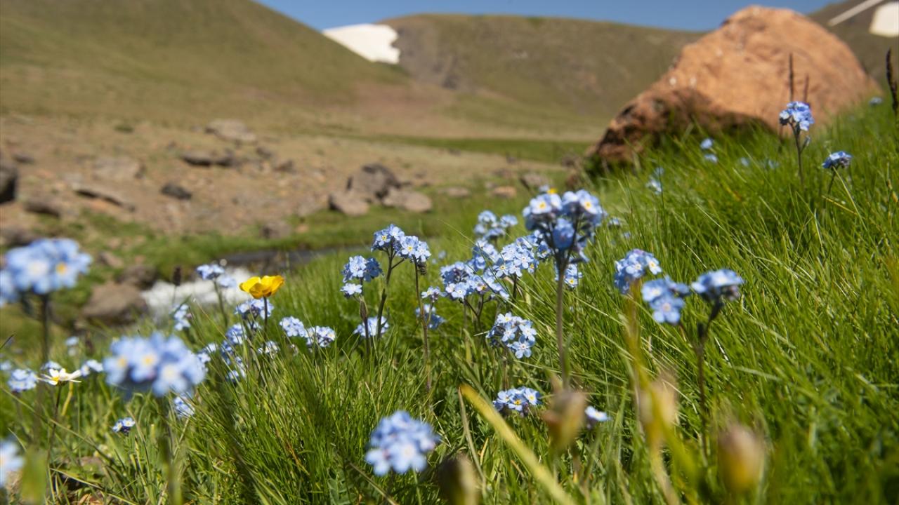 "Bu yayla yazın yaşanılacak bir yer"