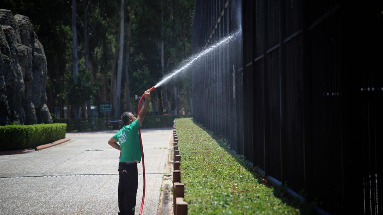 "Hayvanlardaki sıcaklık stresini azaltmaya çalışıyoruz"