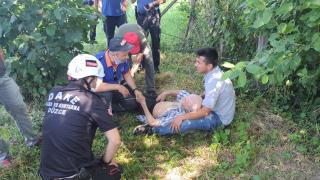 Kaybolan Alzheimer hastası mısır tarlasında uyurken bulundu