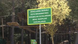 Piknikçiler hırsızların hedefinde