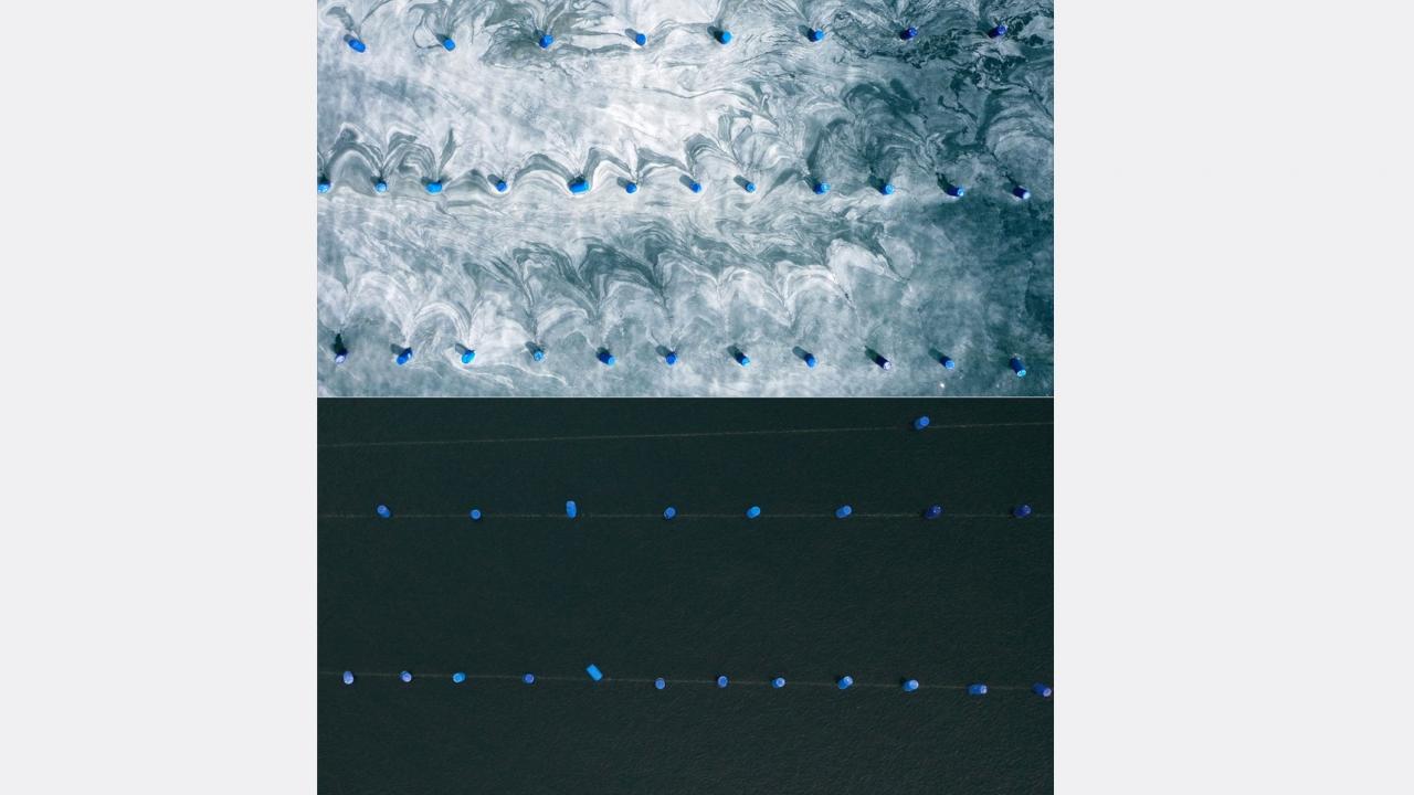 Fotoğrafta Gelibolu ve Eceabat arasındaki alanda su ürünleri üretimi yapılan alanlardaki değişim görülüyor.