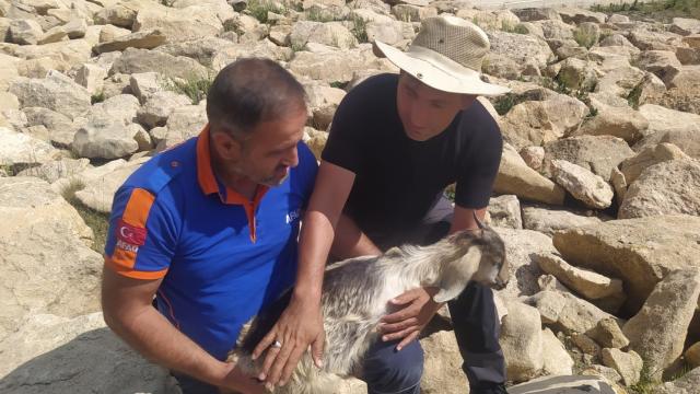 Erzincanda AFAD ekipleri kayalıklarda mahsur kalan oğlak için seferber oldu