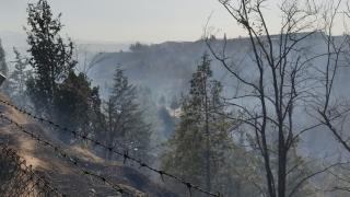 Denizli'de anız yangını fabrikalara sıçradı, o anlar kamerada