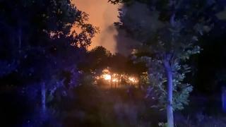 Ataköy'de ağaçlık alanda yangın