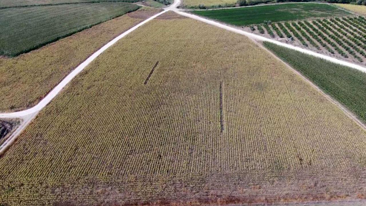 Tarıma dayalı yatırımların tamamlanma süresi 2 ay uzatıldı