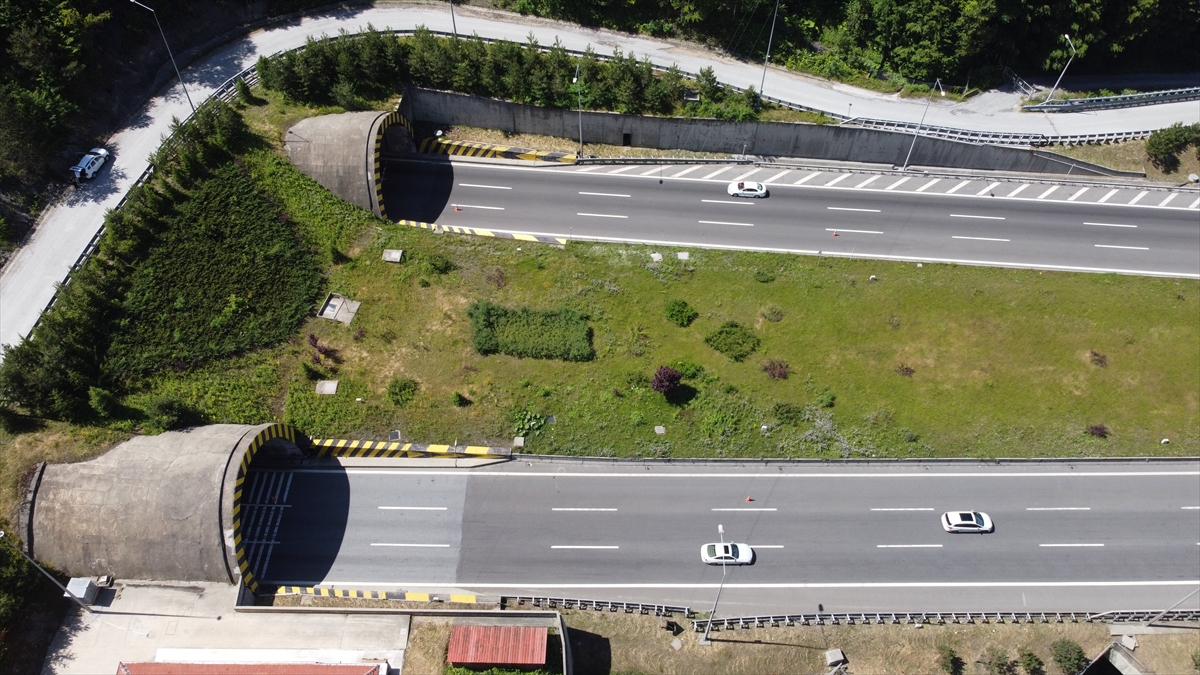 "Araç sürücüsünün bütün dikkatini yola vermesi gerek"