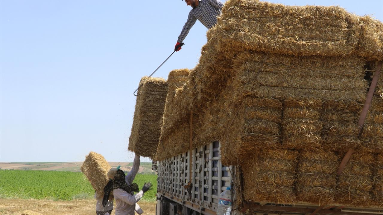 "Ekmek paramız için çalışıyoruz"