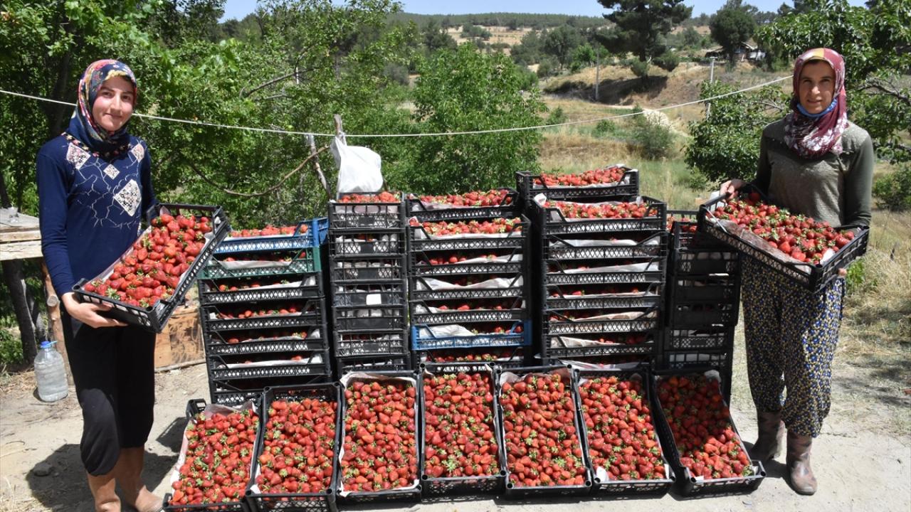 "Önemli olan başlamak ve başarmak"
