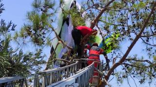 Ağaca takılan paraşütte mahsur kalanlar kurtarıldı